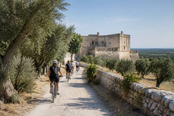 A small group of e-bike riders in helmets on a white gravel lane between ancient olive trees, a fortified farmhouse ahead, Acaya, Puglia