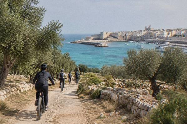 A small group riding e-bikes in helmets along a dusty farm track between old olive trees toward the sea, Gallipoli, Puglia
