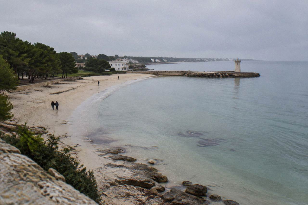 A low sandy Adriatic shore with pine trees behind the beach and calm water