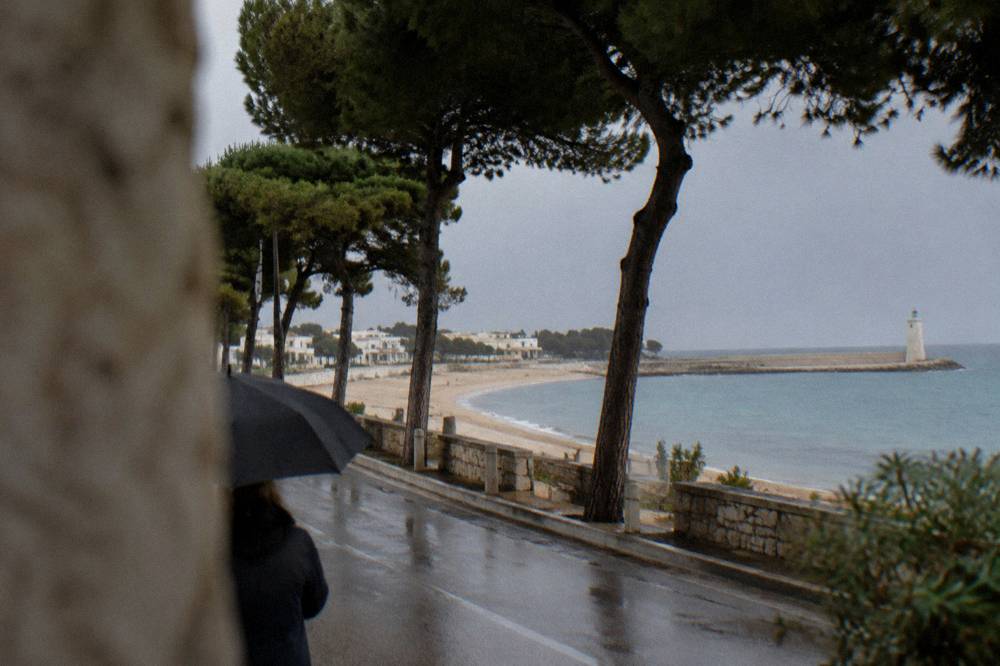 A coastal road lined with Mediterranean pines leading toward the sea