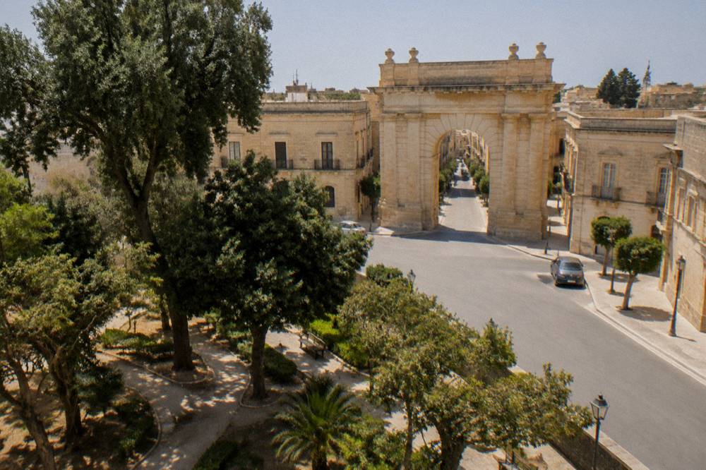 A public garden with mature trees and walking paths beside historic city buildings