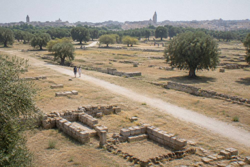 Rows of ancient stone wall foundations following the ground in an open field excavation
