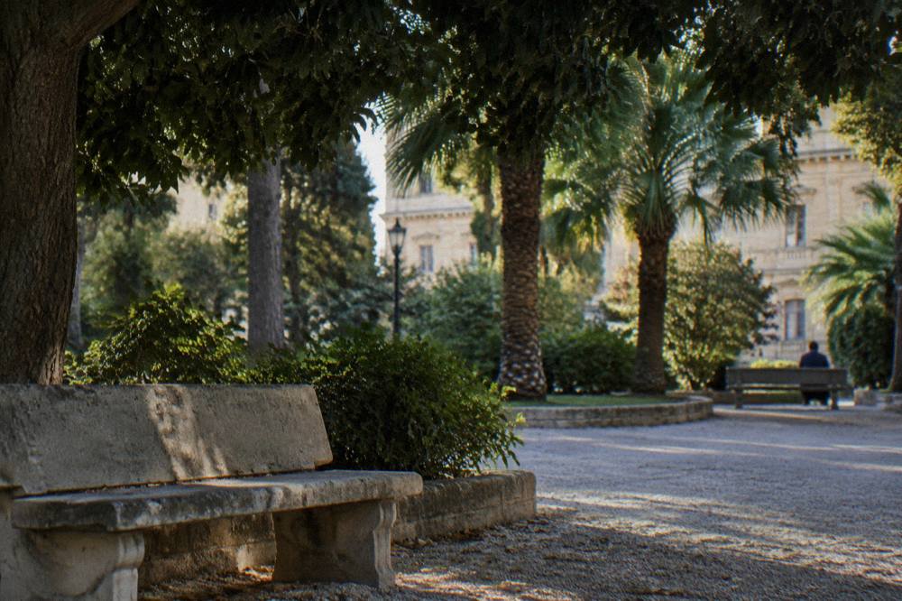 Shaded stone bench under broad evergreen canopy beside a gravel path in a city garden