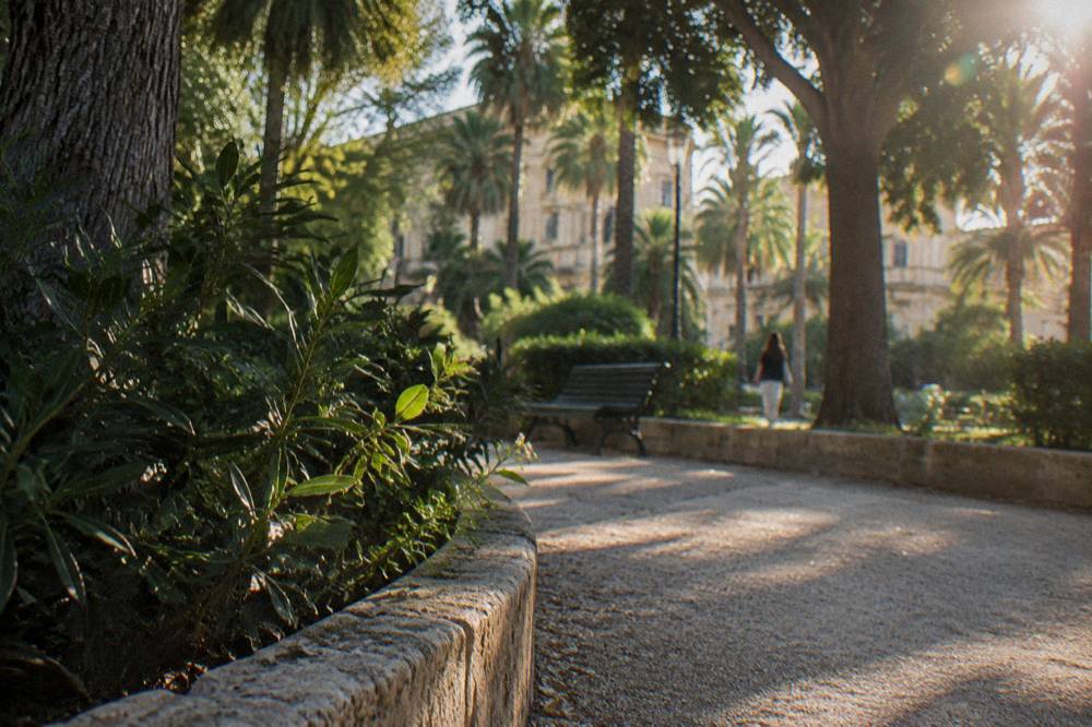 Dappled light on a gravel garden path with mature evergreen trees in a southern Italian city park