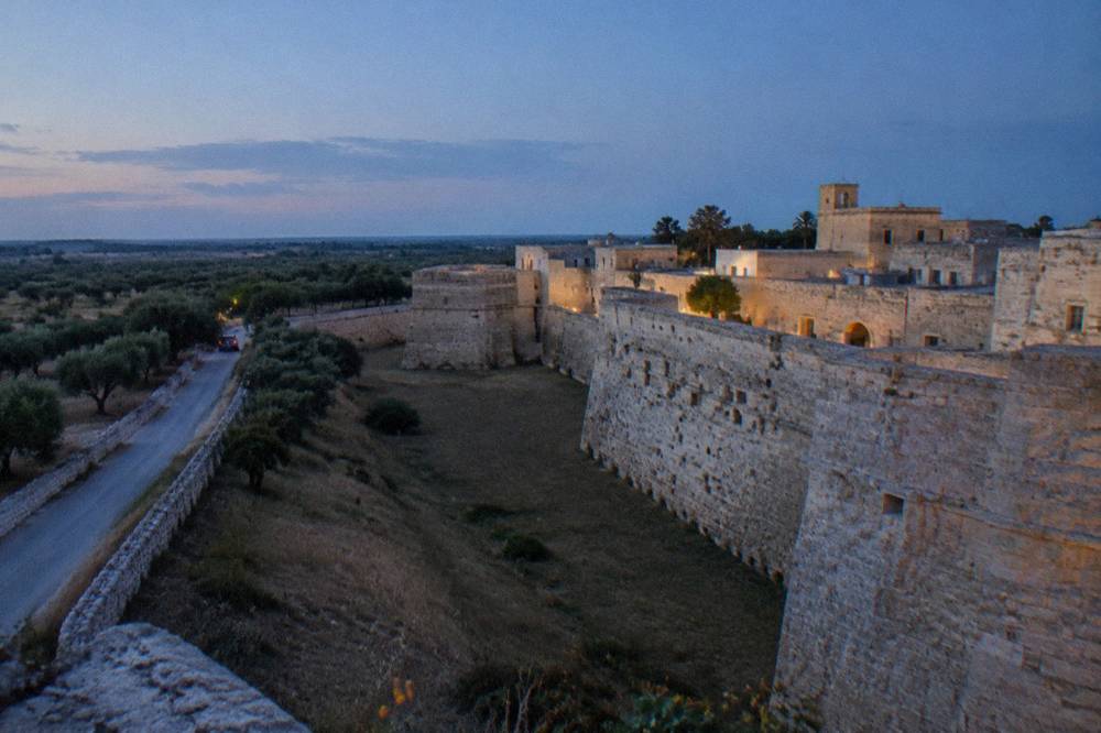 A narrow country road lined with dry stone walls and olive trees in the Salento plain