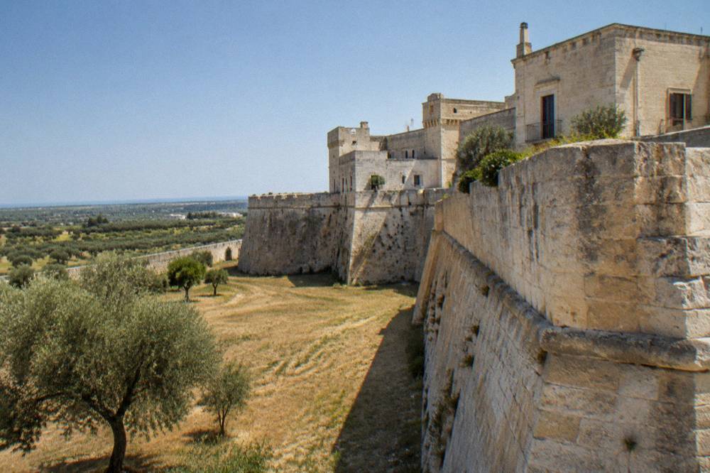 Olive trees and open farmland on the flat plain around a walled village in Puglia
