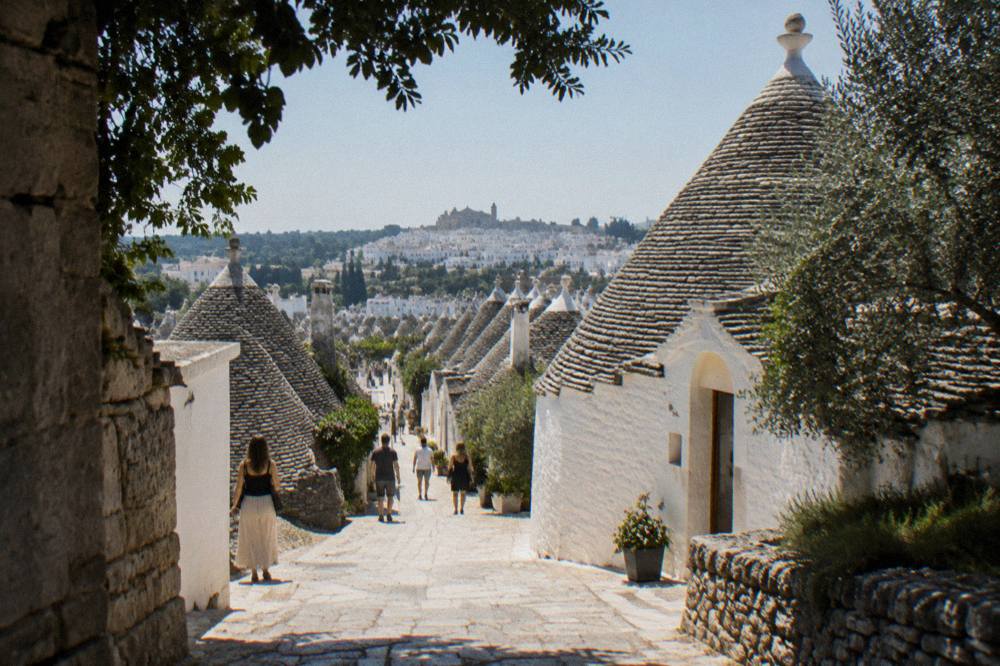 Olive trees framing a distant whitewashed town on a hill