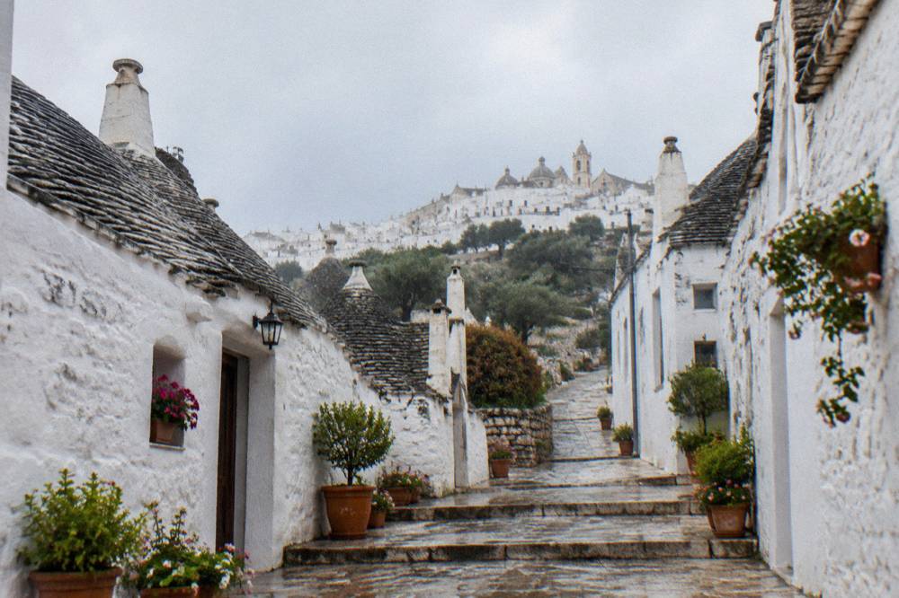 Country road winding through olive groves and stone walls toward a white hill town
