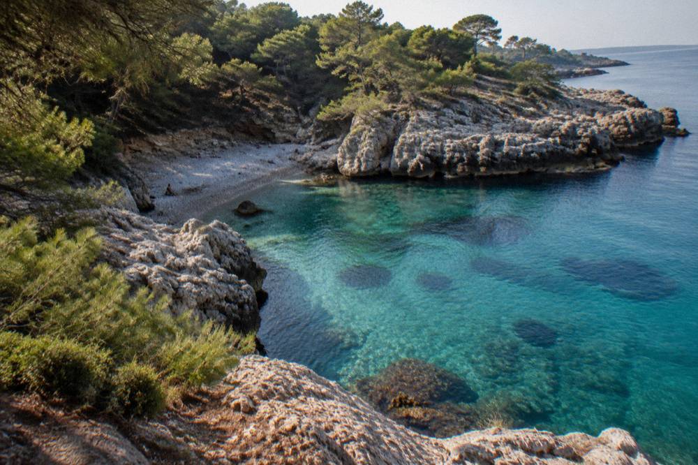 Pine woodland and a rocky cove on the Ionian coast near Porto Selvaggio