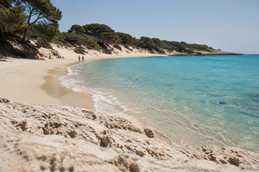 A sandy beach curving between pine trees and clear turquoise water at Baia dei Turchi near Otranto