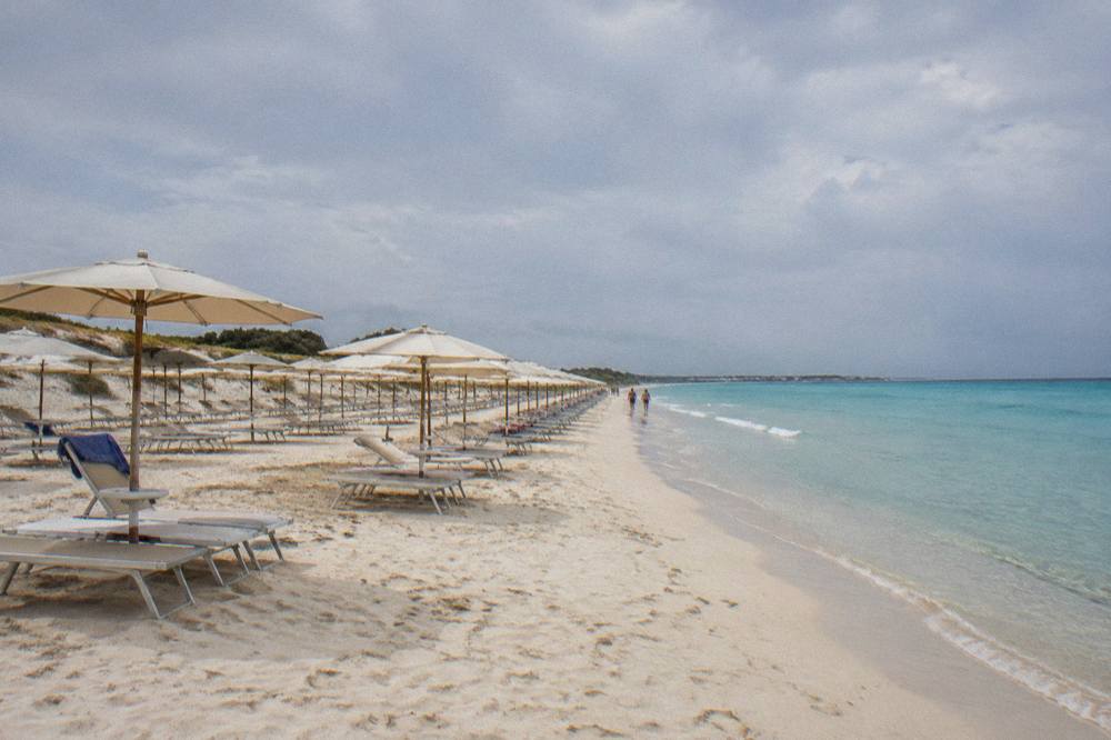 Sunbeds and umbrellas in rows on pale sand at a Pescoluse lido in summer