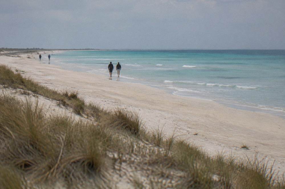 Low dunes with marram grass behind the wide sand of Pescoluse beach