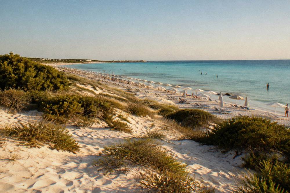 A flat sandy beach with rows of umbrellas and very shallow turquoise sea at Punta Prosciutto