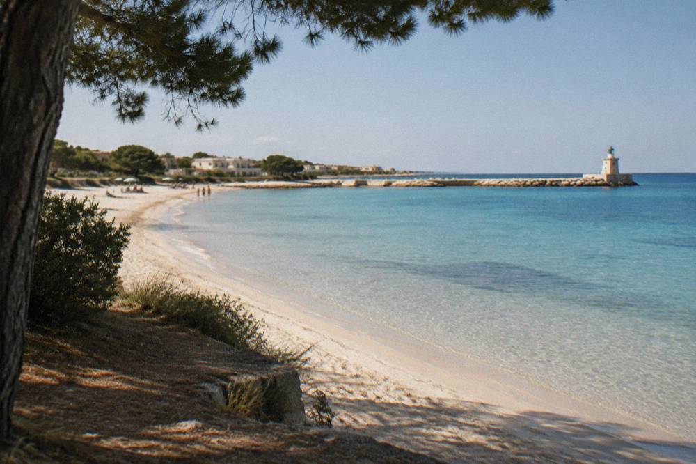 Clear shallow water over pale sand with pine trees at the edge of the beach