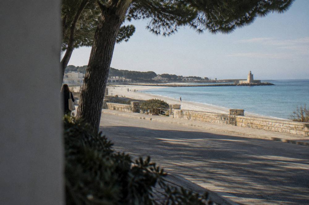 A coastal road beside a pine wood with the sea on the horizon