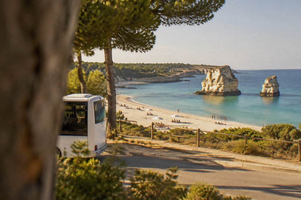 A small white bus at a sunny roadside stop beside pine trees near a beach village