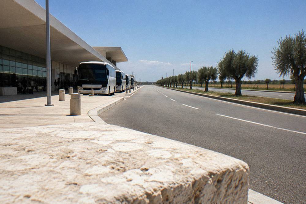 An empty dual carriageway lined with olive trees under a blue sky