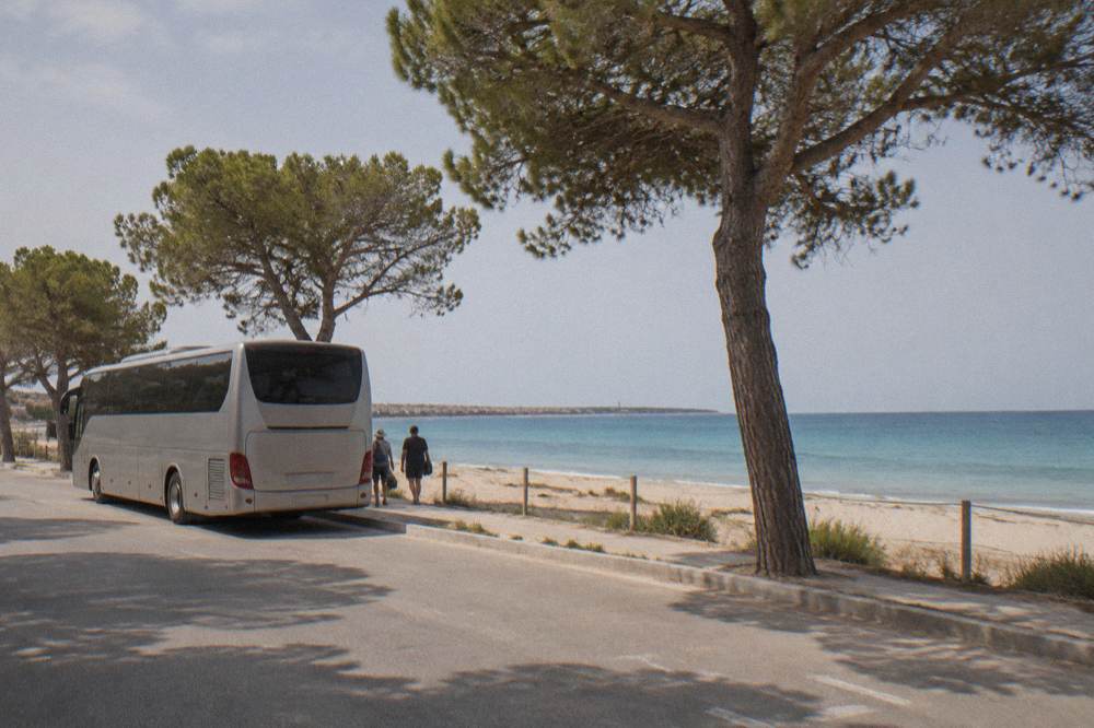 A coach parked at a seaside stop with pine trees and a sandy beach beyond