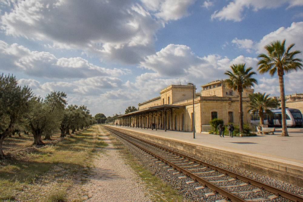 An olive grove with gravel tracks running beside a regional railway line in flat southern Italian countryside