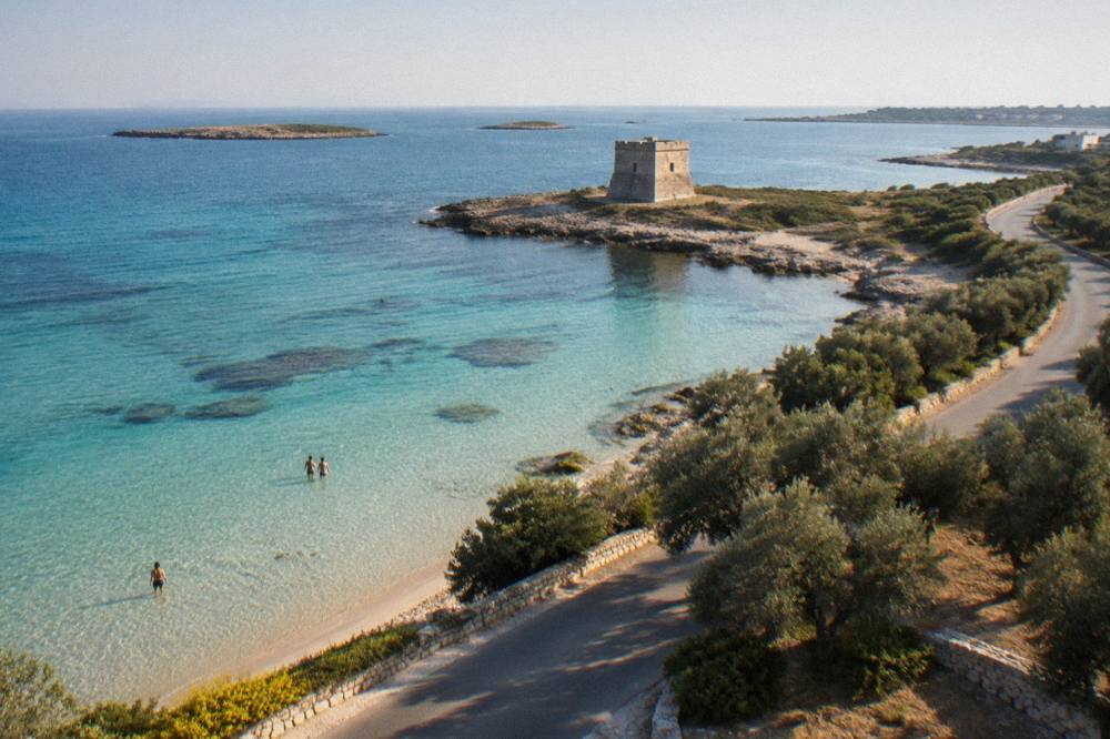 A coastal road curving between olive groves and the sea in Salento