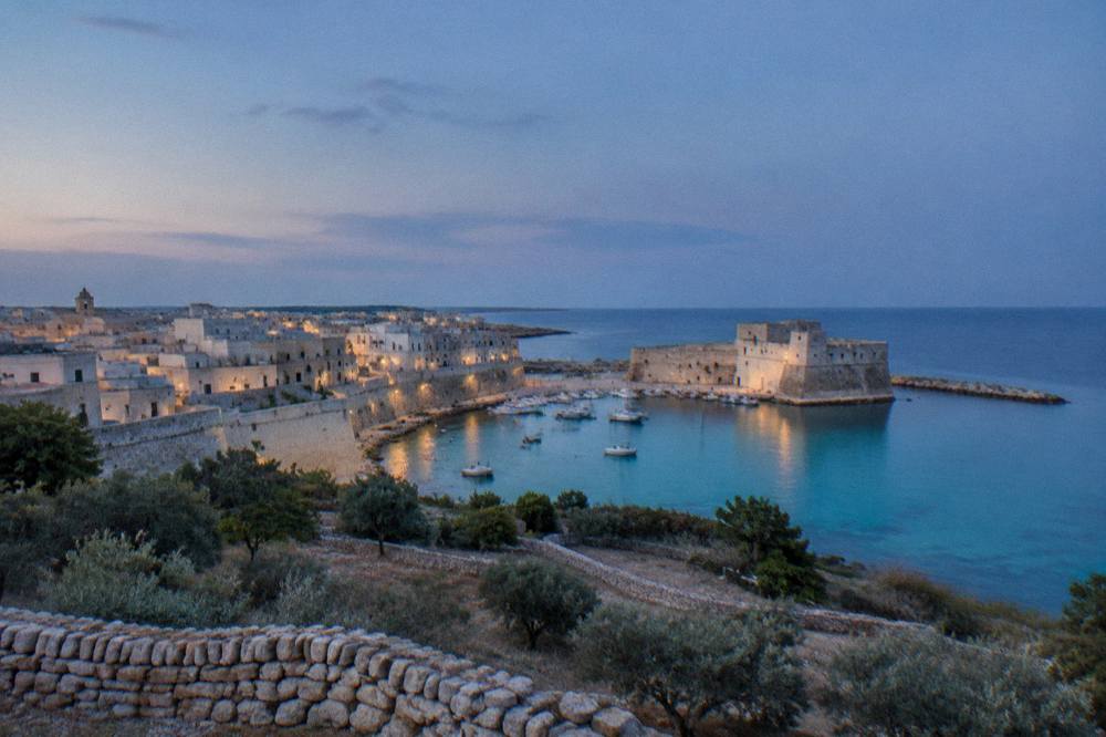 Olive groves and dry stone walls stretching toward the sea in Salento