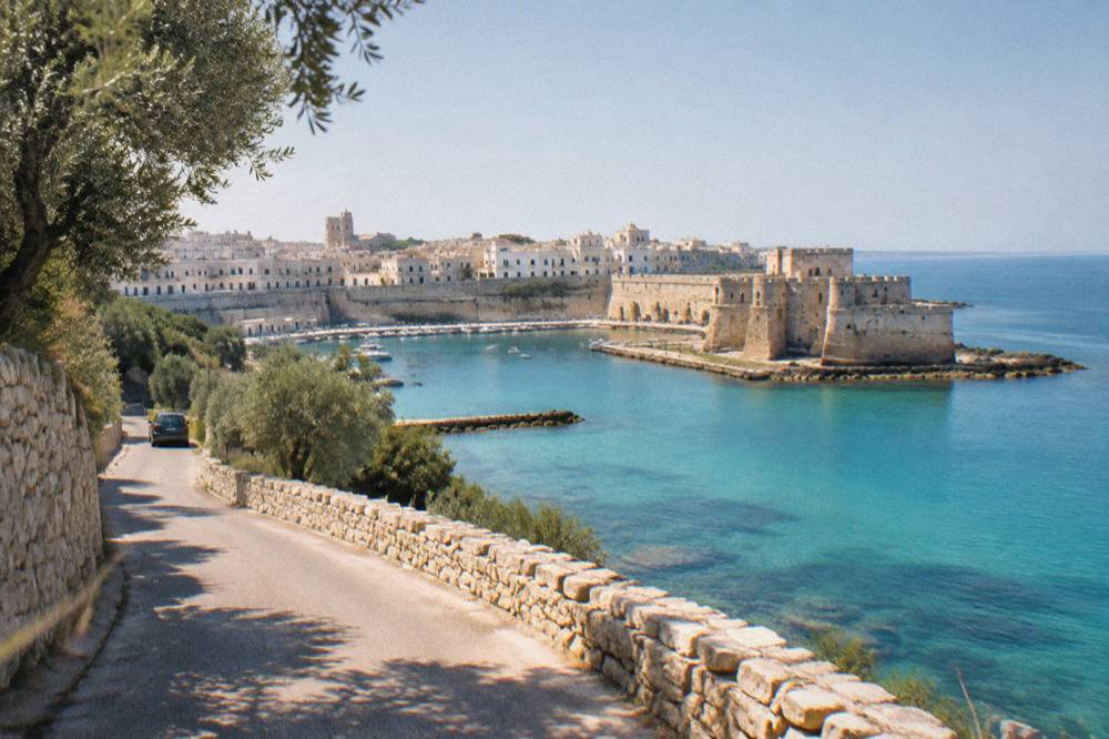 A coastal road in Salento lined with dry stone walls and olive trees